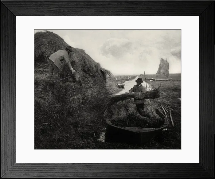 Framed Print : Ricking the Reed, 1886. Creator: Peter Henry Emerson Framed Print : Ricking the Reed, 1886. Creator: Peter Henry Emerson