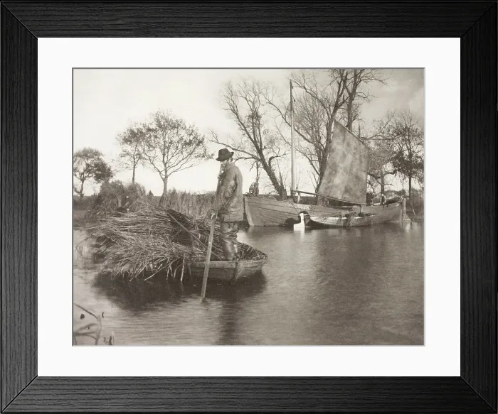 Framed Print : The Gladdon-Cutter's Return, 1886. Creator: Peter Henry Emerson Framed Print : The Gladdon-Cutter's Return, 1886. Creator: Peter Henry Emerson