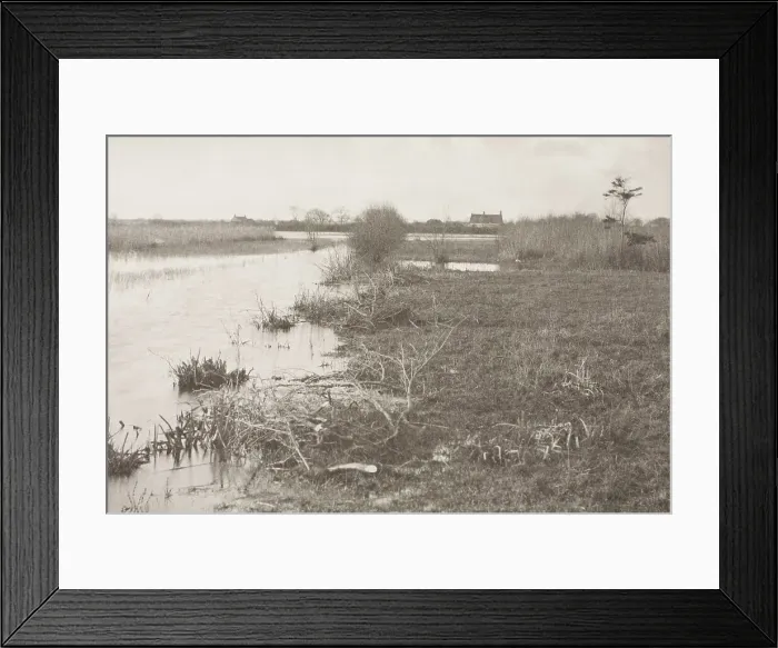 Framed Print : An Autumn Morning, 1886. Creator: Peter Henry Emerson Framed Print : An Autumn Morning, 1886. Creator: Peter Henry Emerson