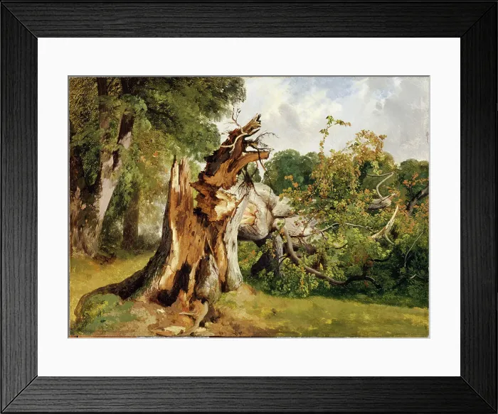 Framed Print : Broken tree at near Meiringen (Bernese Oberland), Mid of the 19th cen.. Creator: Calame, Alexandre (1810-1864) Framed Print : Broken tree at near Meiringen (Bernese Oberland), Mid of the 19th cen.. Creator: Calame, Alexandre (1810-1864)