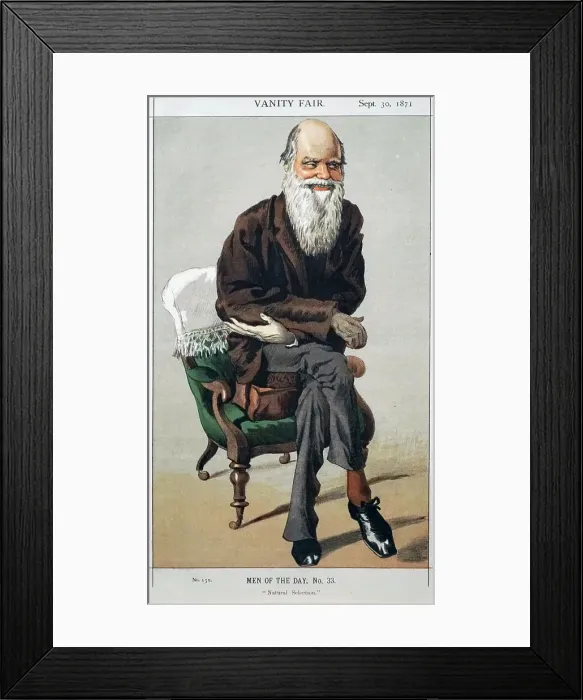 Framed Print : Charles Darwin from Vanity Fair magazine, 30 September 1871, 1871. Creator: Tissot, James Jacques Joseph (1836-1902) Framed Print : Charles Darwin from Vanity Fair magazine, 30 September 1871, 1871. Creator: Tissot, James Jacques Joseph (1836-1902)