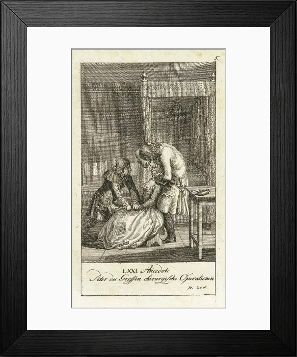 Framed Print : Original Anecdotes of Peter the Great, 1789. Creator: Daniel Nikolaus Chodowiecki Framed Print : Original Anecdotes of Peter the Great, 1789. Creator: Daniel Nikolaus Chodowiecki