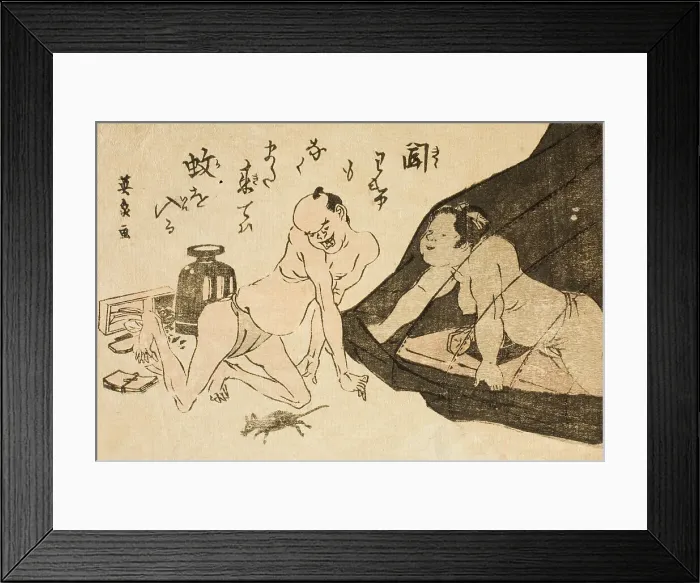 Framed Print : Toba-e: Okame under mosquito netting, releasing a rat while her lover looks aghast, c1810s. Creator: Ikeda Eisen Framed Print : Toba-e: Okame under mosquito netting, releasing a rat while her lover looks aghast, c1810s. Creator: Ikeda Eisen