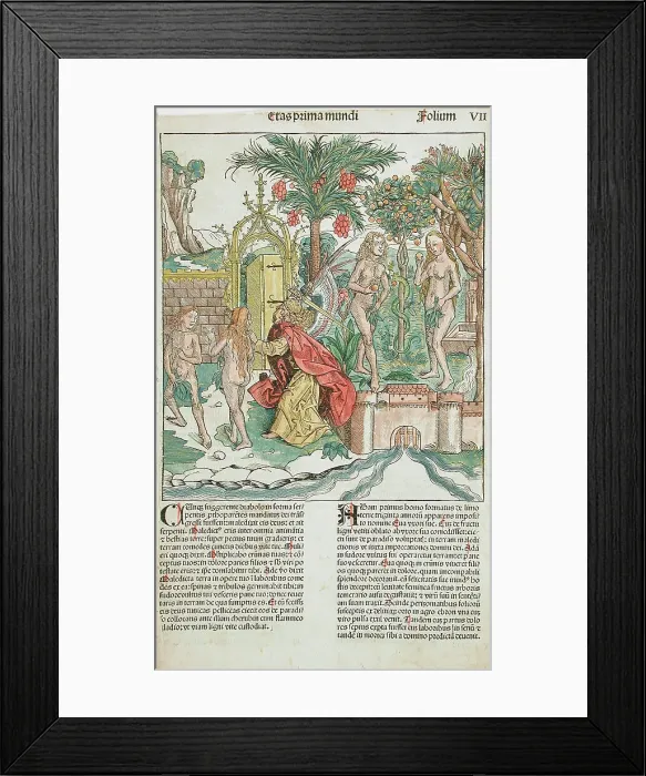 Framed Print : The Fall and Expulsion of Adam and Eve from Paradise, published 1493. Creator: Michael Wolgemut Framed Print : The Fall and Expulsion of Adam and Eve from Paradise, published 1493. Creator: Michael Wolgemut