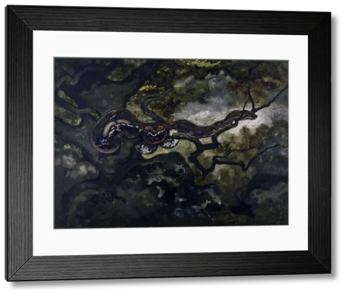 Framed Print : Python in a Tree, c1850-1860. Creator: Antoine-Louis Barye Framed Print : Python in a Tree, c1850-1860. Creator: Antoine-Louis Barye