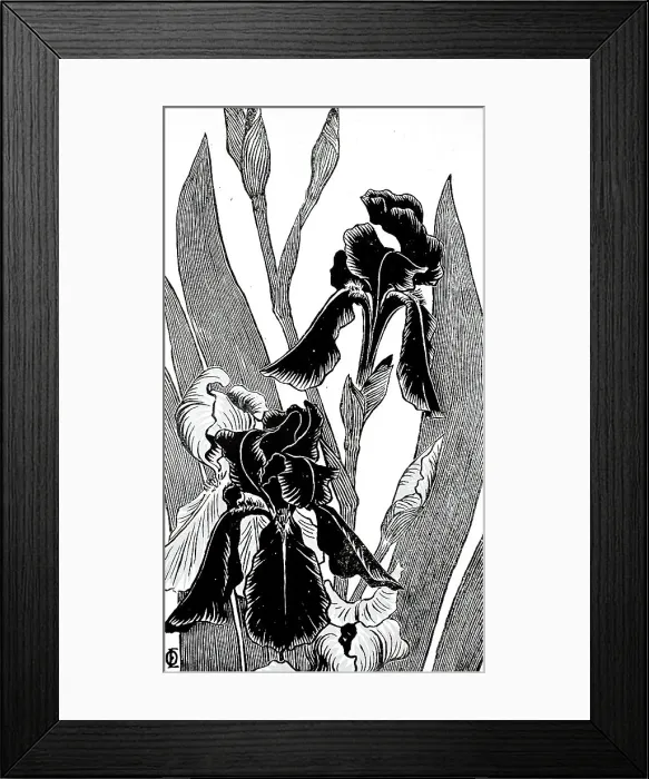 Framed Print : Irises, between circa 1895 and circa 1896. Creator: Otto Eckmann Framed Print : Irises, between circa 1895 and circa 1896. Creator: Otto Eckmann
