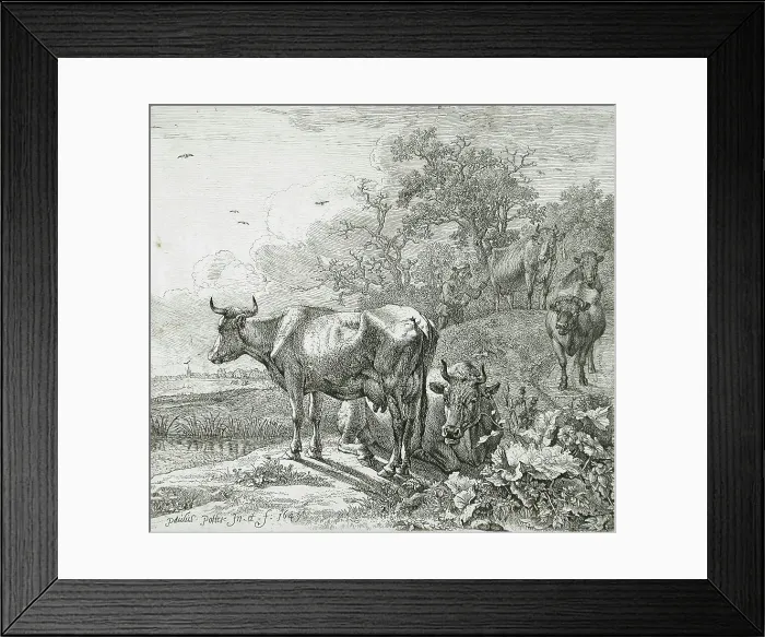 Framed Print : View of a Meadow, 1649. Creator: Paulus Potter Framed Print : View of a Meadow, 1649. Creator: Paulus Potter