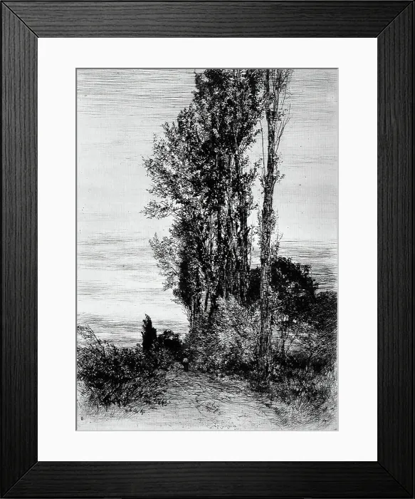 Framed Print : Poplars, c1898. Creator: Peter von Halm Framed Print : Poplars, c1898. Creator: Peter von Halm