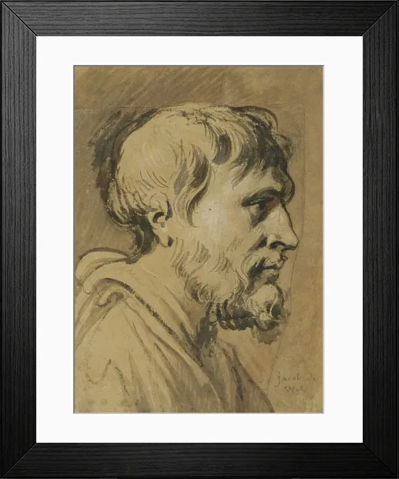 Framed Print : Male head, profile, unknown date. Creator: Anon Framed Print : Male head, profile, unknown date. Creator: Anon