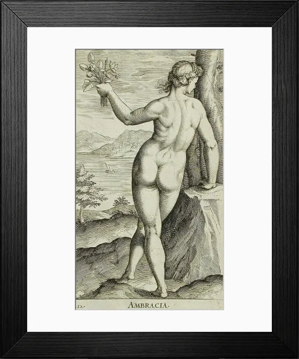 Framed Print : Ambracia, 1587. Creator: Philip Galle Framed Print : Ambracia, 1587. Creator: Philip Galle