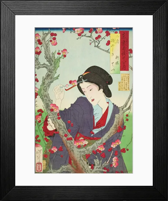 Framed Print : Second Month: Tei of Shinbashi by a Plum Tree at Umeyashiki, 1880. Creator: Tsukioka Yoshitoshi Framed Print : Second Month: Tei of Shinbashi by a Plum Tree at Umeyashiki, 1880. Creator: Tsukioka Yoshitoshi