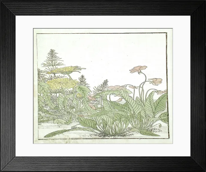Framed Print : A Mirror of Competing Beauties of the Green Houses (image 20 of 20), 1776. Creators: Shunsho, Kitao Shigemasa Framed Print : A Mirror of Competing Beauties of the Green Houses (image 20 of 20), 1776. Creators: Shunsho, Kitao Shigemasa