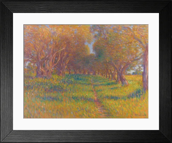 Framed Print : Olive trees in Provence, 1902. Creator: Rheiner, Louis (1863-1924) Framed Print : Olive trees in Provence, 1902. Creator: Rheiner, Louis (1863-1924)