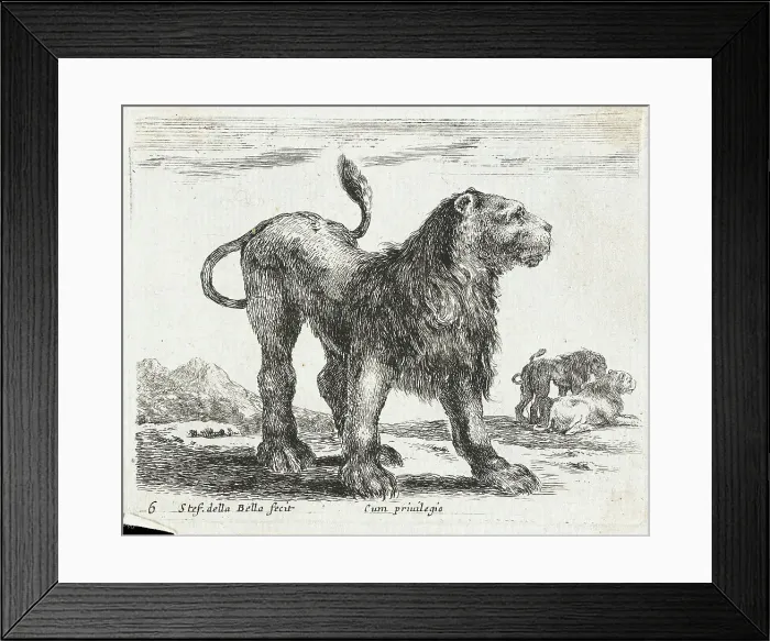 Framed Print : A Lion, 1641. Creator: Stefano della Bella Framed Print : A Lion, 1641. Creator: Stefano della Bella