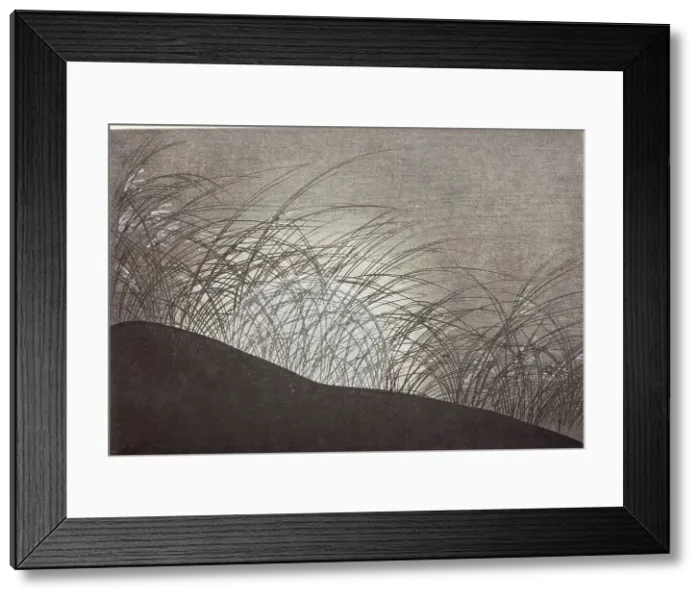 Framed Print : A Thousand Grasses (Chigusa) (image 19 of 33), 1900. Creator: Kamisaka Sekka Framed Print : A Thousand Grasses (Chigusa) (image 19 of 33), 1900. Creator: Kamisaka Sekka