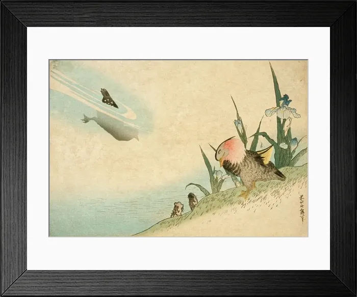 Framed Print : Mandarin Ducks, 19th century. Creator: Hokusai Framed Print : Mandarin Ducks, 19th century. Creator: Hokusai