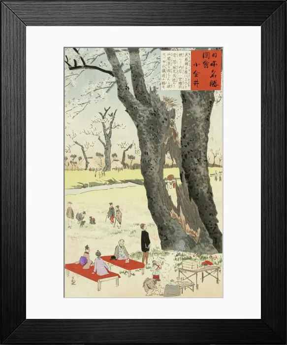 Framed Print : Koganei, Cherry Blossoms, 1896. Creator: Kobayashi Kiyochika Framed Print : Koganei, Cherry Blossoms, 1896. Creator: Kobayashi Kiyochika