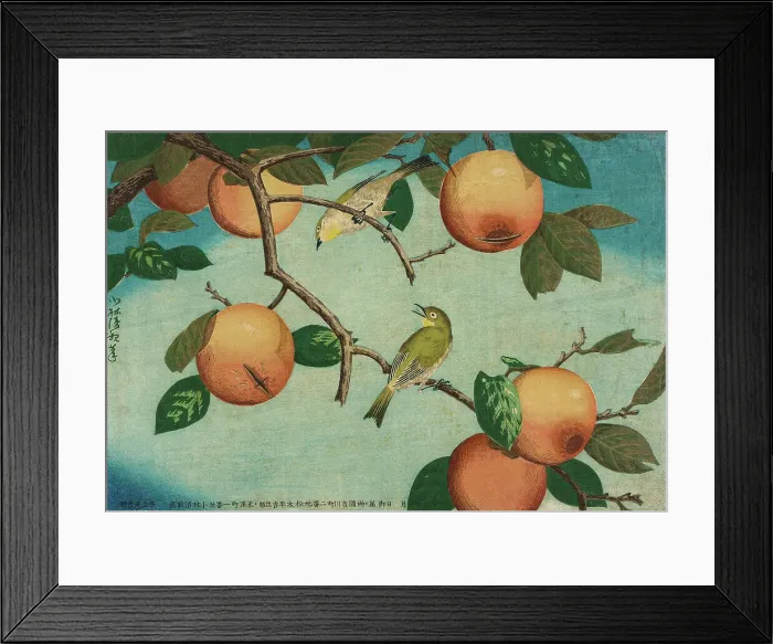 Framed Print : Persimmons and White-Eyes, 1880. Creator: Kobayashi Kiyochika Framed Print : Persimmons and White-Eyes, 1880. Creator: Kobayashi Kiyochika