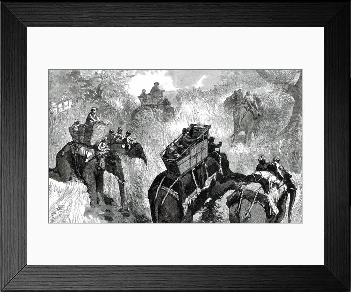 Framed Print : The Prince of Wales in the Terai: crossing a Nullah in the Jungle...1876. Creator: W. J. P Framed Print : The Prince of Wales in the Terai: crossing a Nullah in the Jungle...1876. Creator: W. J. P