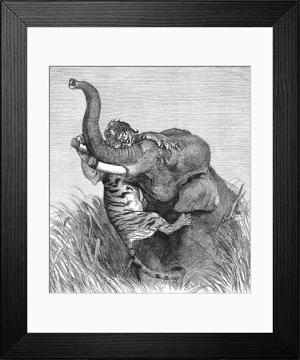 Framed Print : An Indian Hunting Trophy, 1876. Creator: Unknown Framed Print : An Indian Hunting Trophy, 1876. Creator: Unknown
