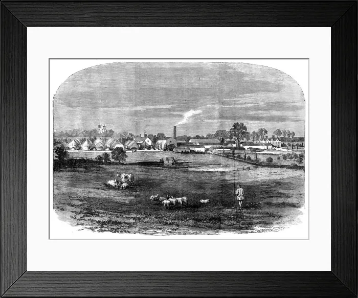 Framed Print : The Prince Consort's Model Farm at Osborne, 1858. Creator: Unknown Framed Print : The Prince Consort's Model Farm at Osborne, 1858. Creator: Unknown