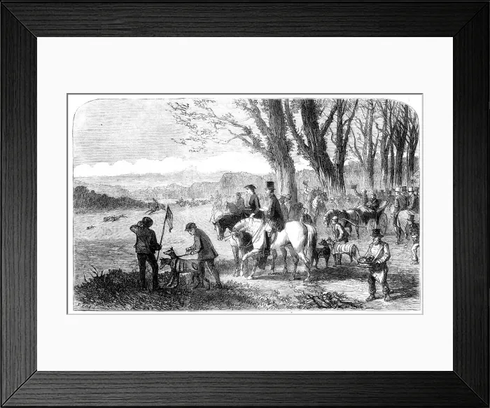 Framed Print : Coursing meeting at Hampton Park, 1860. Creator: Frederick John Skill Framed Print : Coursing meeting at Hampton Park, 1860. Creator: Frederick John Skill
