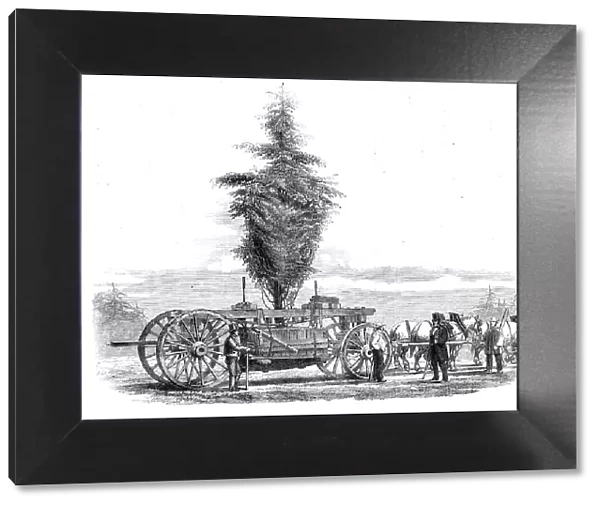 Removal of a large tree from Chiswick to the new gardens of the Horticultural Society at... 1860. Creator: Unknown