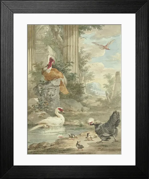 Framed Print : Turkey and Other Birds near Classical Ruins in a Park, c.1756-c.1761. Creator: Aert Schouman Framed Print : Turkey and Other Birds near Classical Ruins in a Park, c.1756-c.1761. Creator: Aert Schouman