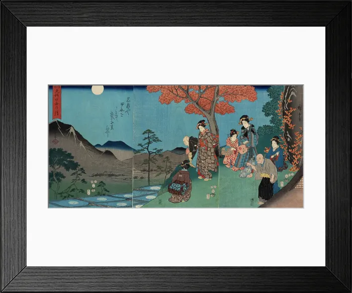 Framed Print : Moon Reflected in the Rice Fields at Sarashina in Shinano Province, 1858. Creator: Ando Hiroshige Framed Print : Moon Reflected in the Rice Fields at Sarashina in Shinano Province, 1858. Creator: Ando Hiroshige