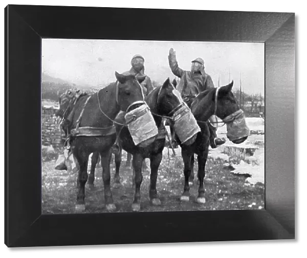 Les precautions contre les gaz; Les chevaux ont aussi leur appareil special, 1917. Creator: Unknown