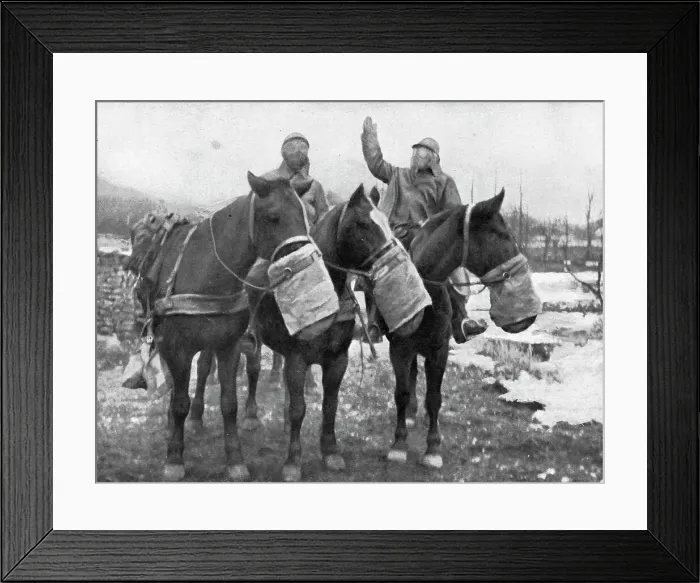 Framed Print : Les precautions contre les gaz; Les chevaux ont aussi leur appareil special, 1917. Creator: Unknown Framed Print : Les precautions contre les gaz; Les chevaux ont aussi leur appareil special, 1917. Creator: Unknown