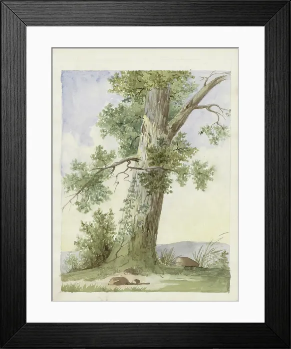 Framed Print : Tree in a landscape, c.1819-c.1870. Creator: Anon Framed Print : Tree in a landscape, c.1819-c.1870. Creator: Anon