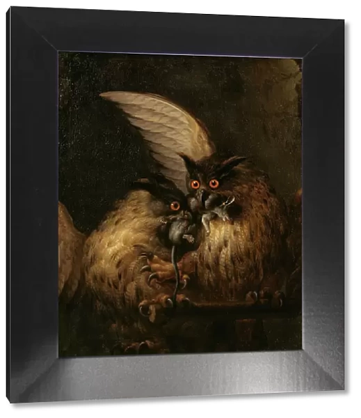 Two Owls Fighting over a Rat, late 17th-early 18th century. Creator: Hans Georg Muller