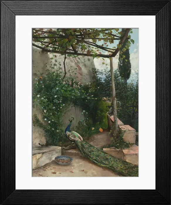 Framed Print : Terrace with Peacock, the Alhambra, 1884. Creator: Hugo Birger Framed Print : Terrace with Peacock, the Alhambra, 1884. Creator: Hugo Birger