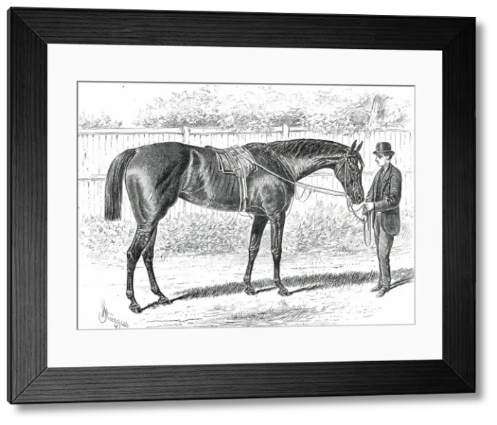 Framed Print : Apology, the Winner of the Gold Cup at Ascot, 1876. Creator: John Sturgess Framed Print : Apology, the Winner of the Gold Cup at Ascot, 1876. Creator: John Sturgess