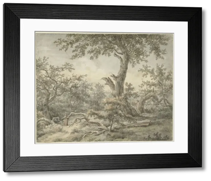 Framed Print : Forest landscape, 1756-1826. Creator: Cornelis Buys Framed Print : Forest landscape, 1756-1826. Creator: Cornelis Buys
