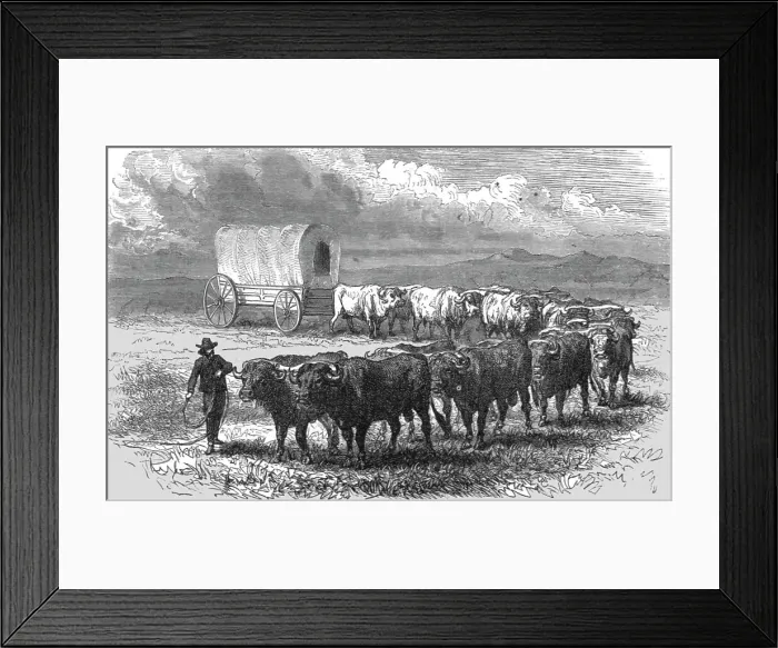Framed Print : The Prairie Schooner'. -- Emigrant wagon on the plains; Ocean to Ocean, the Pacific... 1875. Creator: Frederick Whymper. The Prairie Schooner'. -- Emigrant wagon on the plains; Ocean to Ocean, the Pacific... 1875 Framed Print : The Prairie Schooner'. -- Emigrant wagon on the plains; Ocean to Ocean, the Pacific... 1875. Creator: Frederick Whymper. The Prairie Schooner'. -- Emigrant wagon on the plains; Ocean to Ocean, the Pacific... 1875