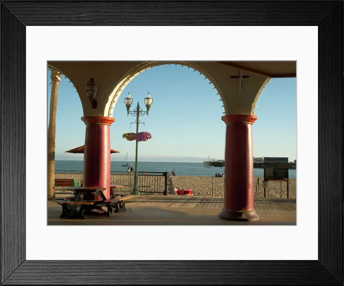 Framed Print : Santa Cruz, California, USA, 2022. Creator: Ethel Davies Framed Print : Santa Cruz, California, USA, 2022. Creator: Ethel Davies