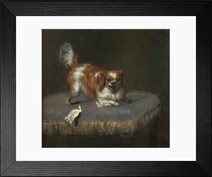 Framed Print : The dog Courtisan, c17th century. Creator: Unknown Framed Print : The dog Courtisan, c17th century. Creator: Unknown
