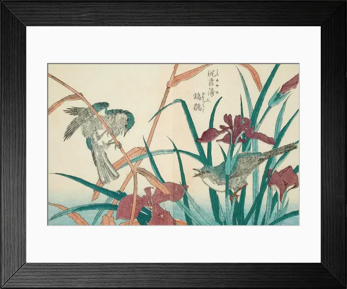 Framed Print : Birds and Iris, 18th-19th century. Creator: Kitao Shigemasa Framed Print : Birds and Iris, 18th-19th century. Creator: Kitao Shigemasa
