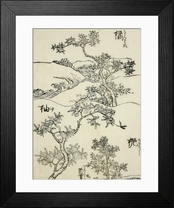 Framed Print : Samples of Three Tree Types for Artists, 19th century. Creator: Shinsai Framed Print : Samples of Three Tree Types for Artists, 19th century. Creator: Shinsai
