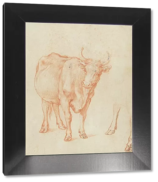 Studies of a cow, c.1603. Creator: Abraham Bloemaert