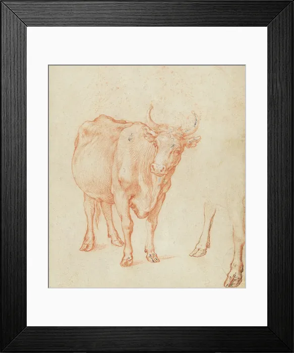Framed Print : Studies of a cow, c.1603. Creator: Abraham Bloemaert Framed Print : Studies of a cow, c.1603. Creator: Abraham Bloemaert