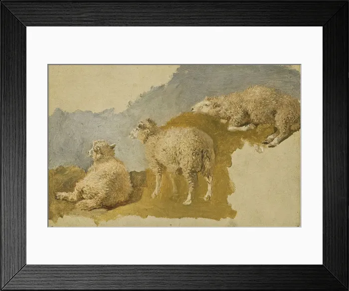 Framed Print : Three Sheep. Study, mid-19th century. Creator: Kilian Christoffer Zoll Framed Print : Three Sheep. Study, mid-19th century. Creator: Kilian Christoffer Zoll