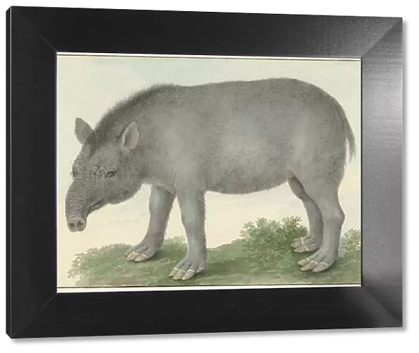 Tapir, 1825. Creator: Izaak van Haastert