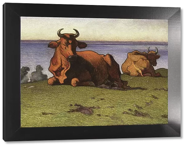 Resting Cows. Motif from Öland, 1901. Creator: Nils Kreuger