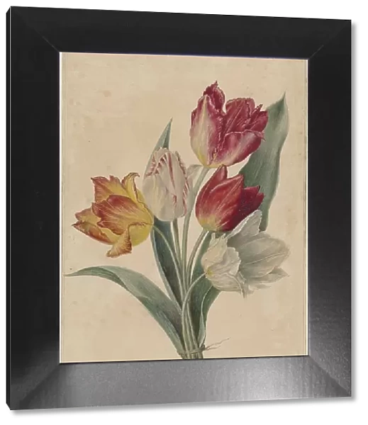 Bouquet of Tulips, 1831-1900. Creator: Jan Jacob Goteling Vinnis