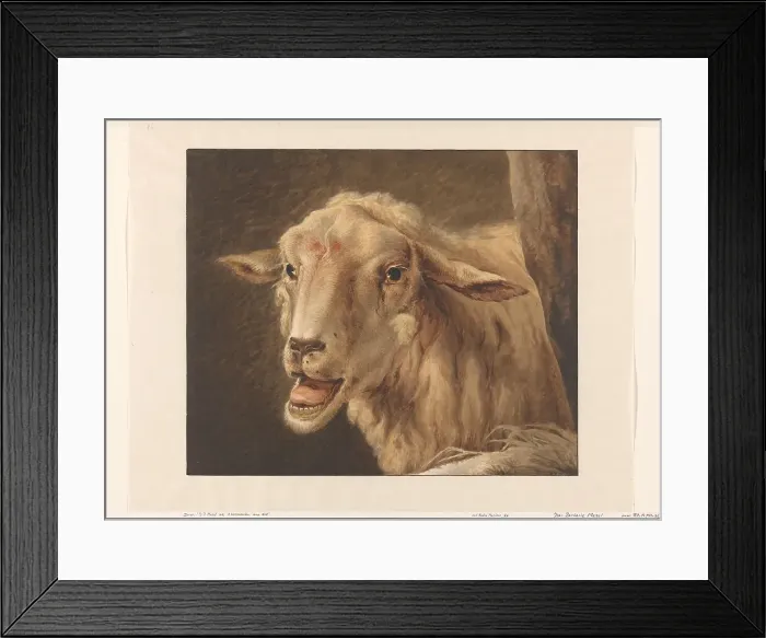 Framed Print : Sheep head, 1808. Creator: Jean Zacherie Mazel Framed Print : Sheep head, 1808. Creator: Jean Zacherie Mazel