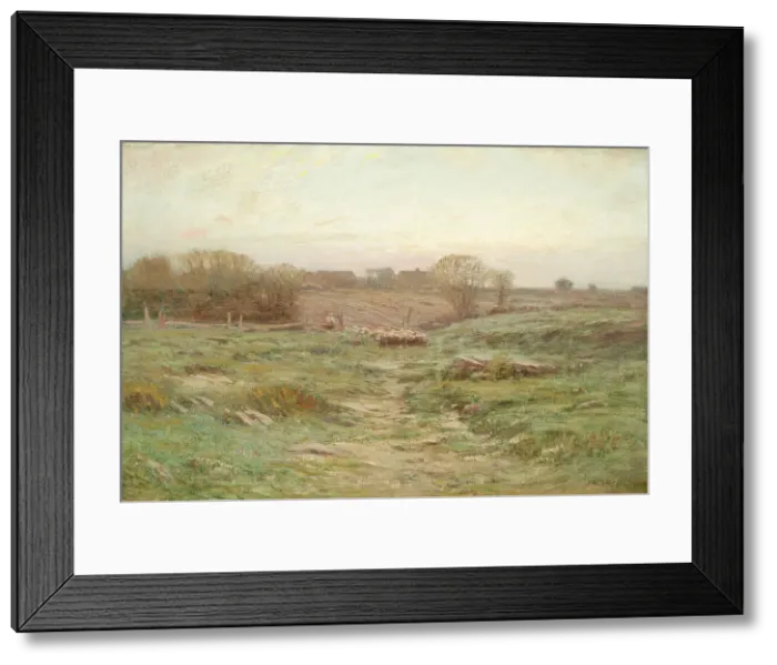 Framed Print : Landscape (Sheep in the Valley) (image 1 of 2), 1900. Creator: Dwight William Tryon Framed Print : Landscape (Sheep in the Valley) (image 1 of 2), 1900. Creator: Dwight William Tryon