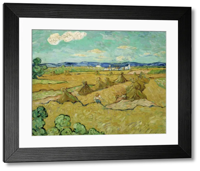 Framed Print : The Cornshocks. Creator: Anon Framed Print : The Cornshocks. Creator: Anon